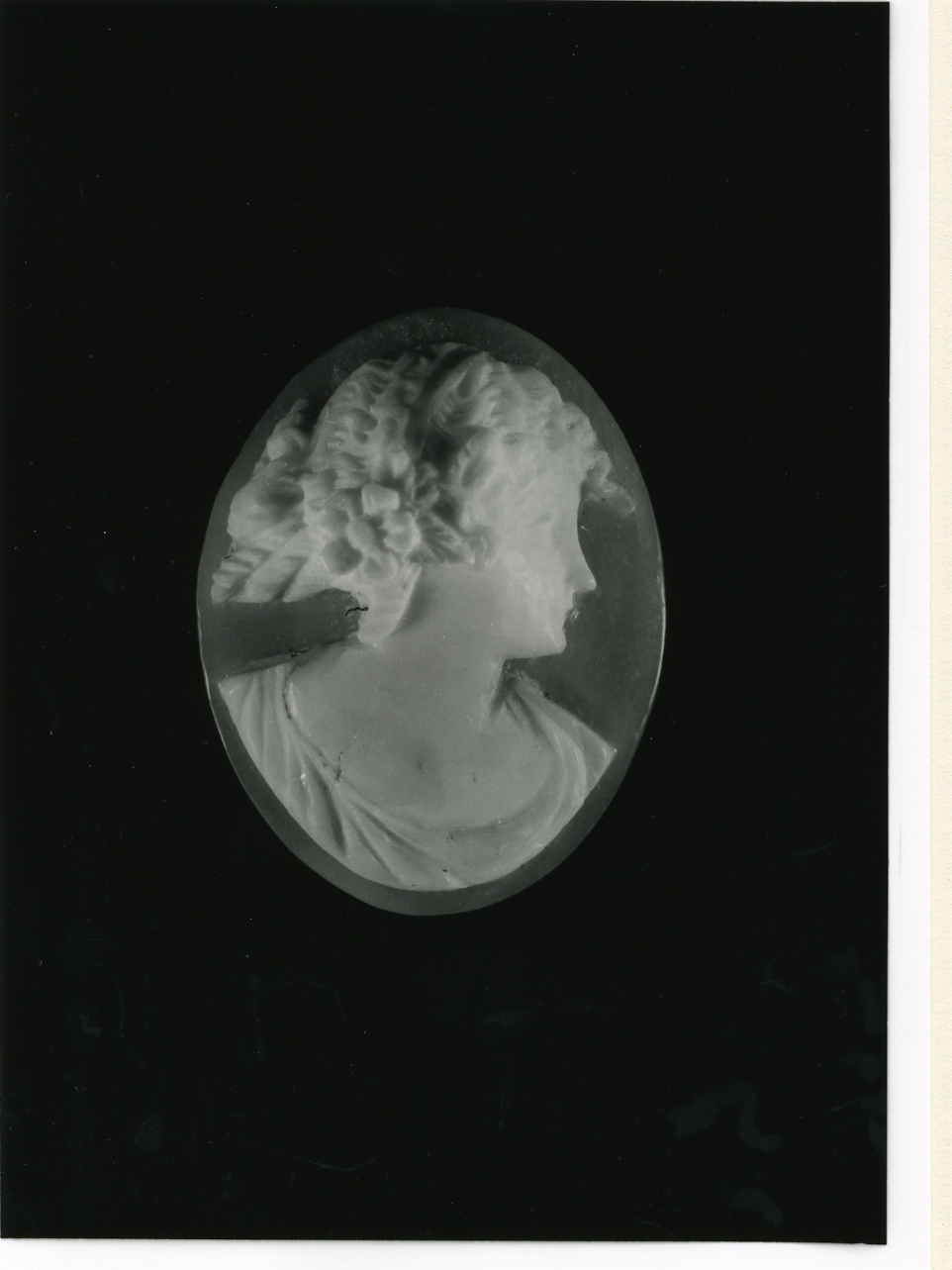 testa di donna (cammeo) - bottega napoletana (inizio sec. XX)