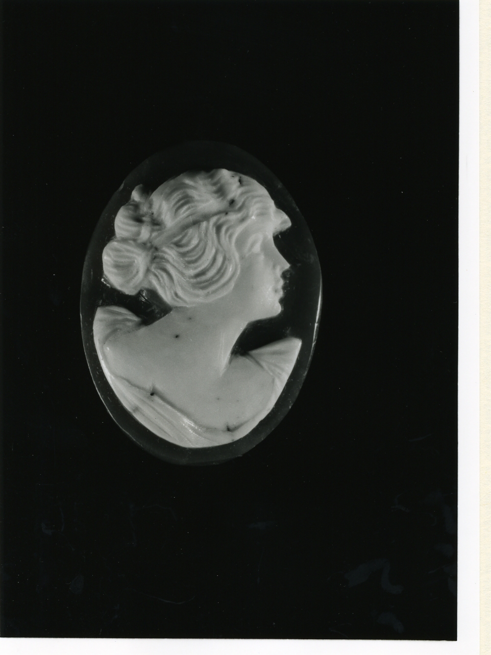 testa di donna (cammeo) - bottega napoletana (inizio sec. XX)