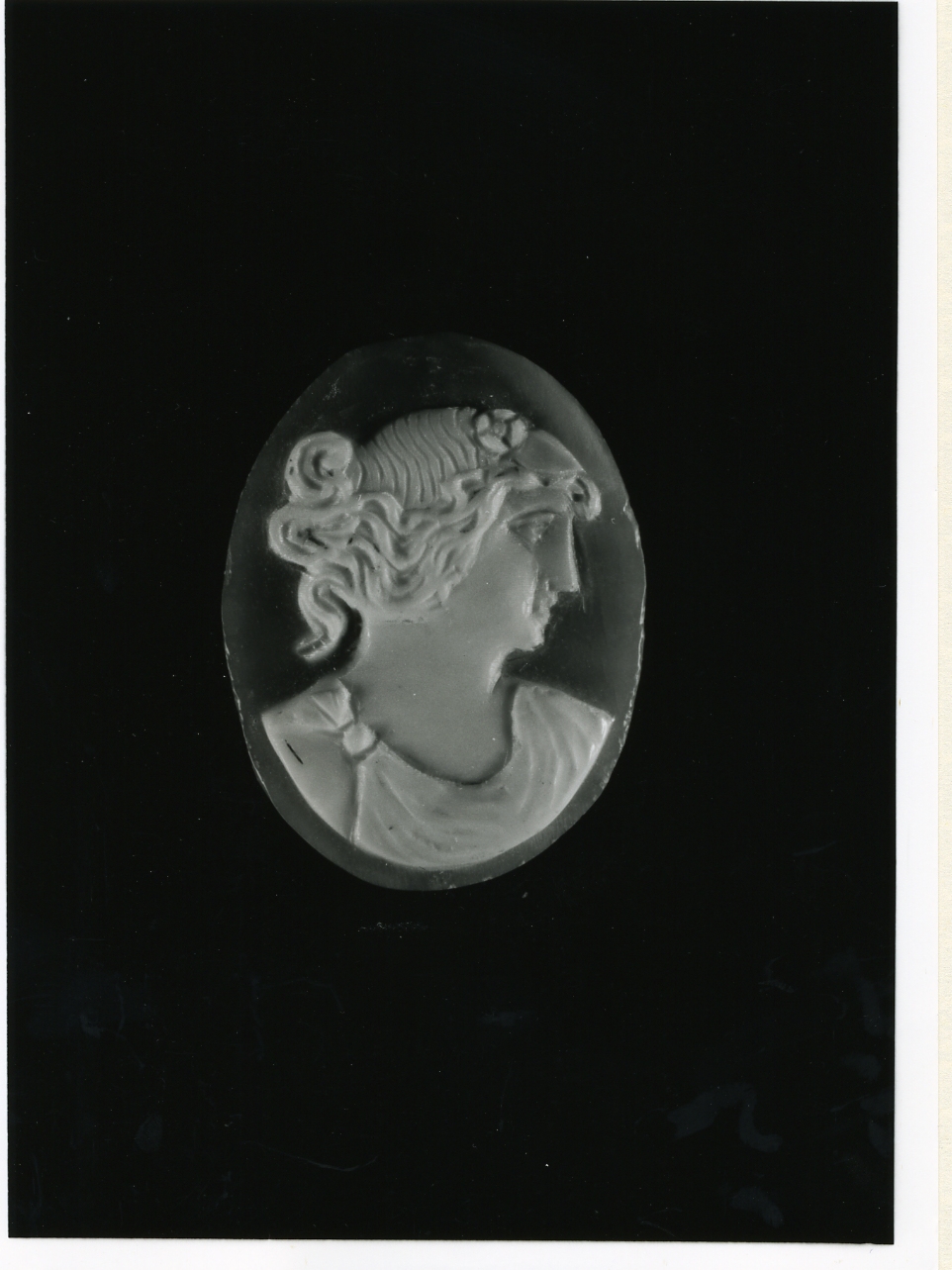 testa di donna (cammeo) - bottega napoletana (inizio sec. XX)