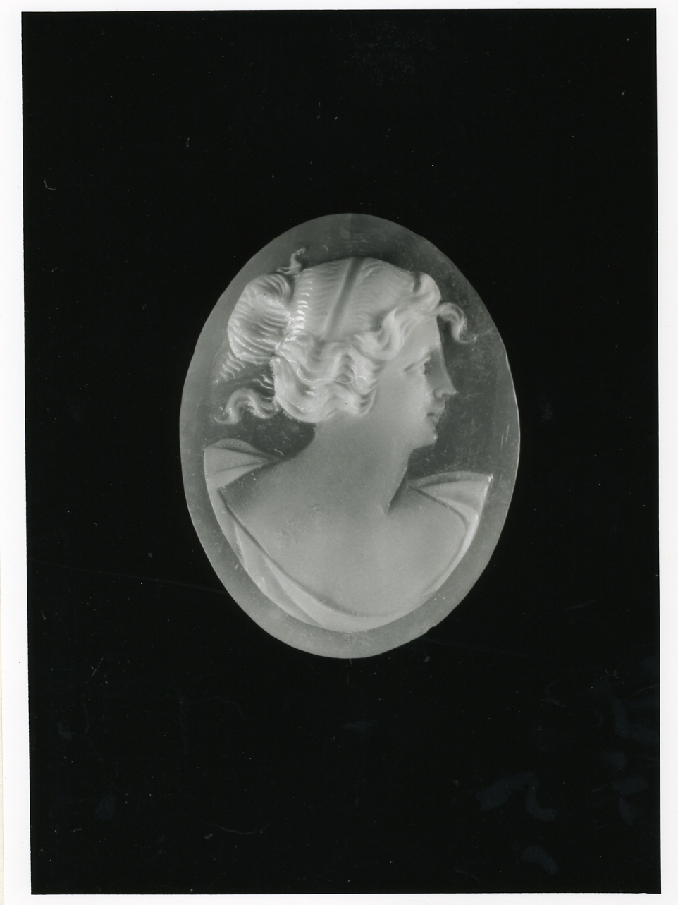 testa di donna (cammeo) - bottega napoletana (inizio sec. XX)