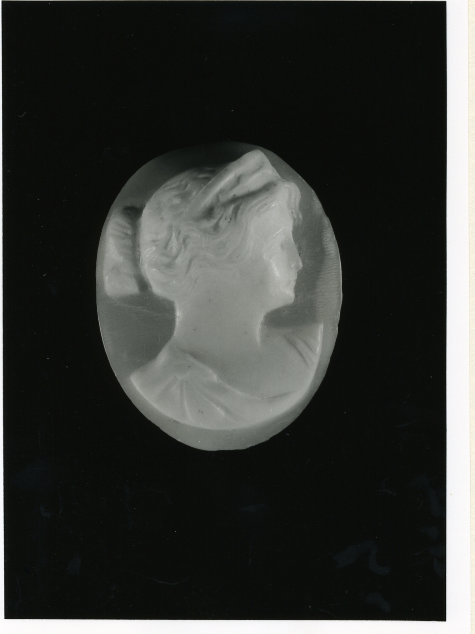 testa di donna (cammeo) - bottega napoletana (inizio sec. XX)