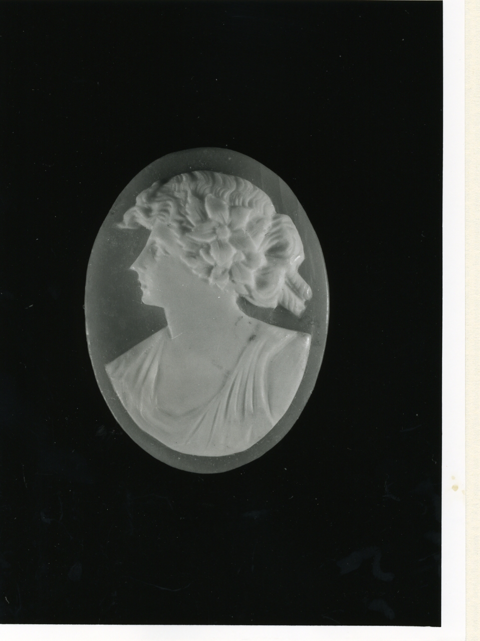 testa di donna (cammeo) - bottega napoletana (inizio sec. XX)