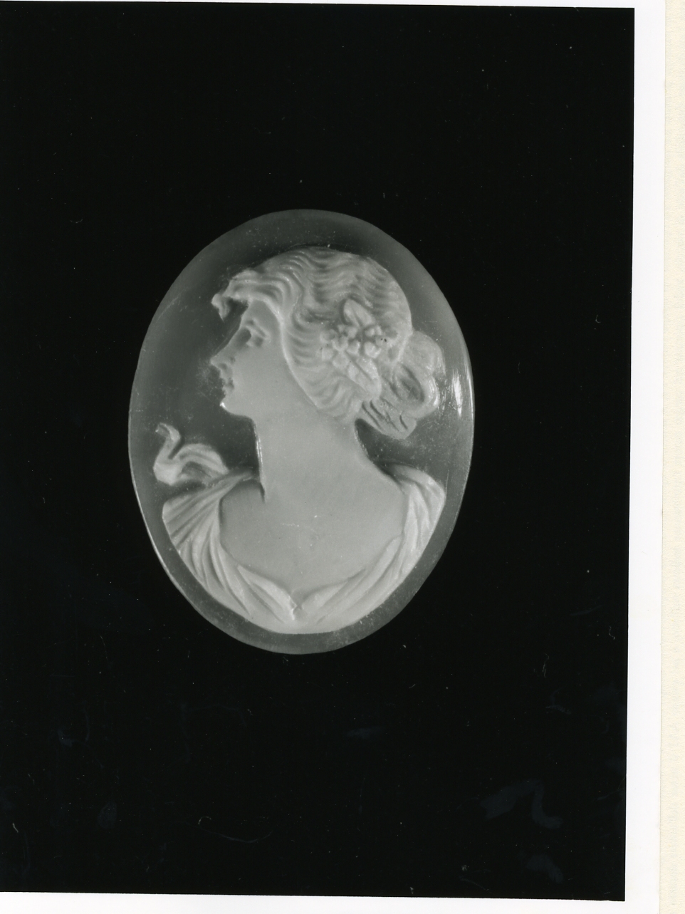 testa di donna (cammeo) - bottega napoletana (inizio sec. XX)