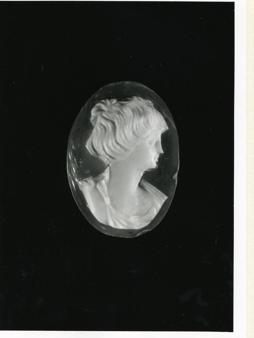 testa di donna (cammeo) - bottega napoletana (inizio sec. XX)