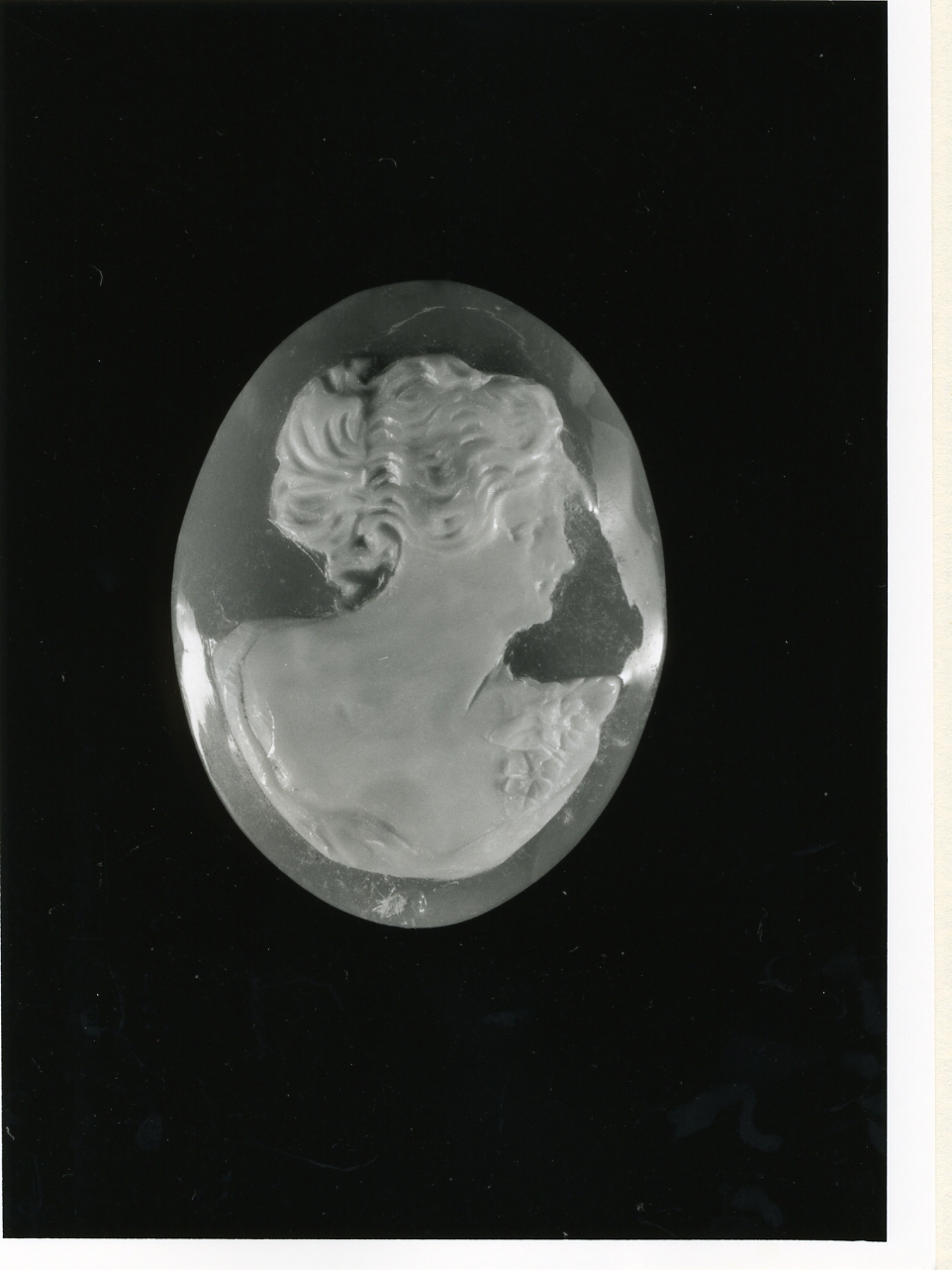 testa di donna (cammeo) - bottega napoletana (inizio sec. XX)
