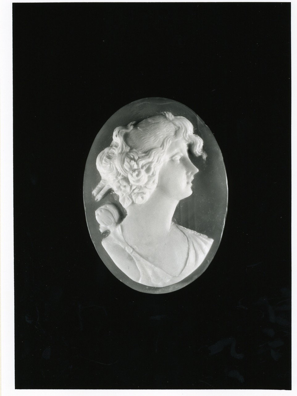 testa di donna (cammeo) - bottega napoletana (inizio sec. XX)