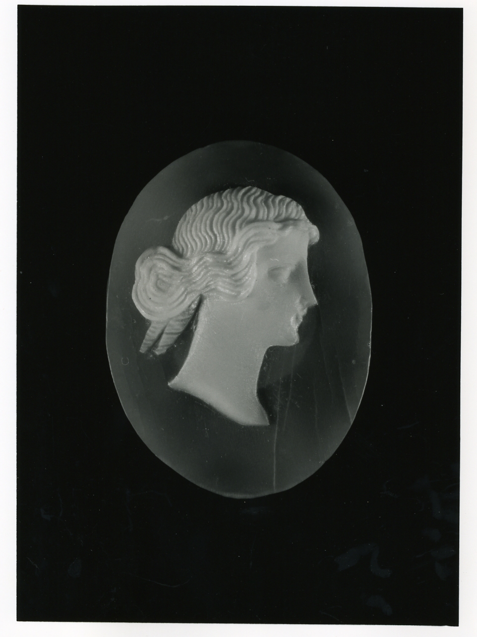 testa di donna (cammeo) - bottega napoletana (inizio sec. XX)