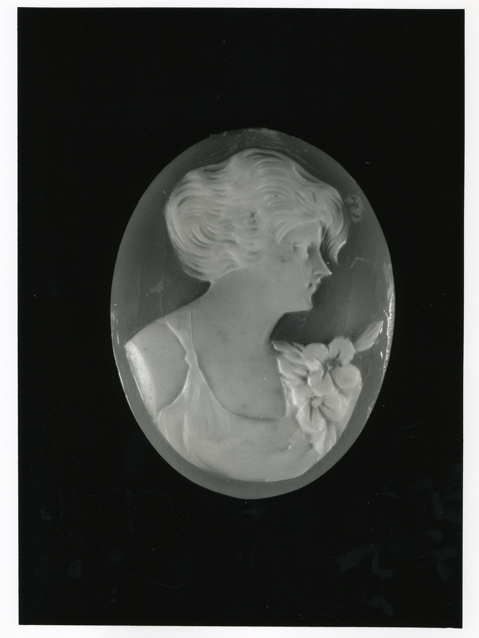 testa di donna (cammeo) - bottega napoletana (inizio sec. XX)