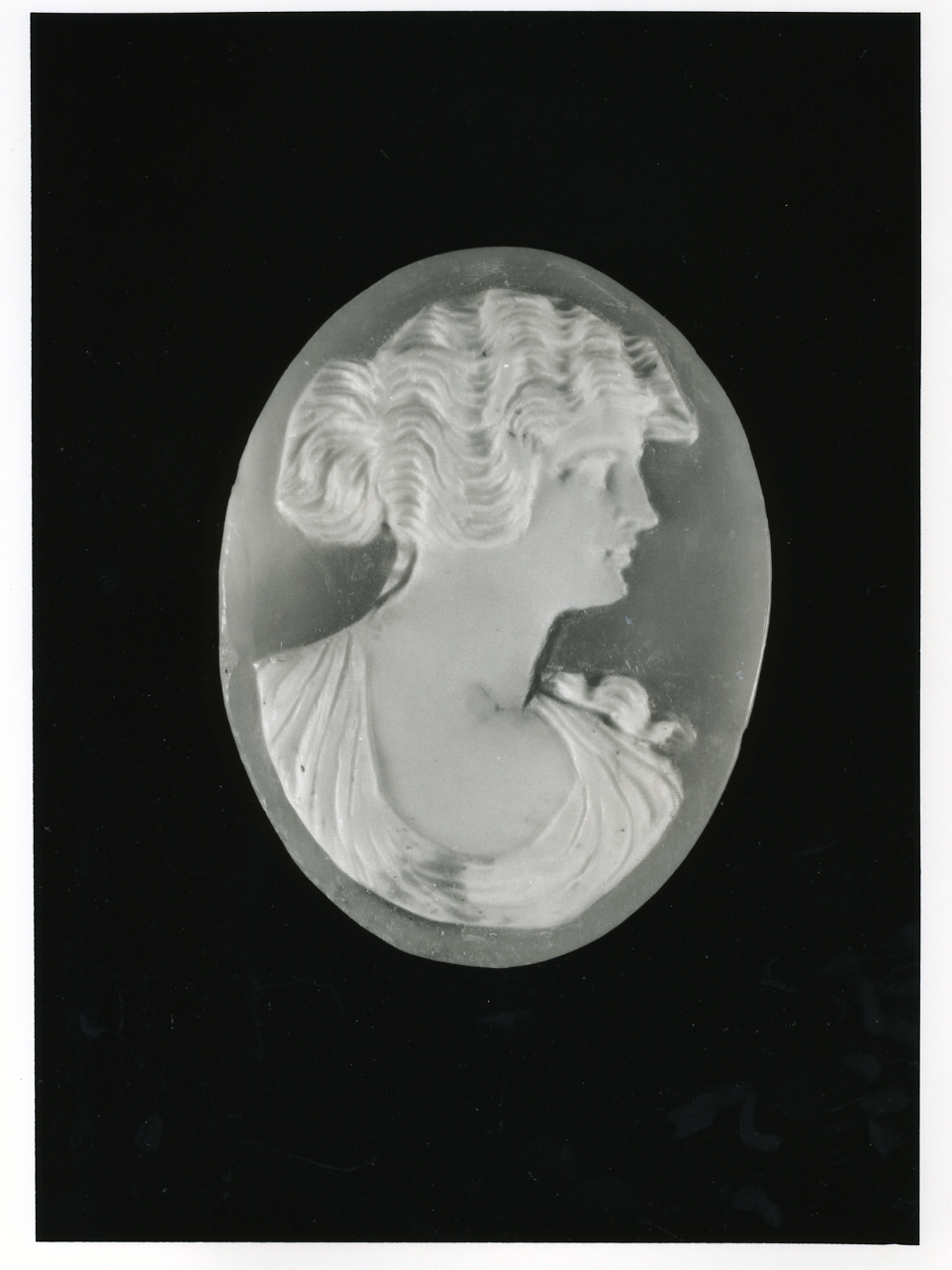 testa di donna (cammeo) - bottega napoletana (inizio sec. XX)