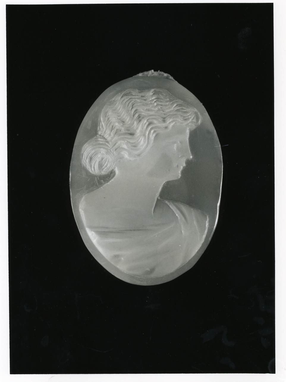 testa di donna (cammeo) - bottega napoletana (inizio sec. XX)