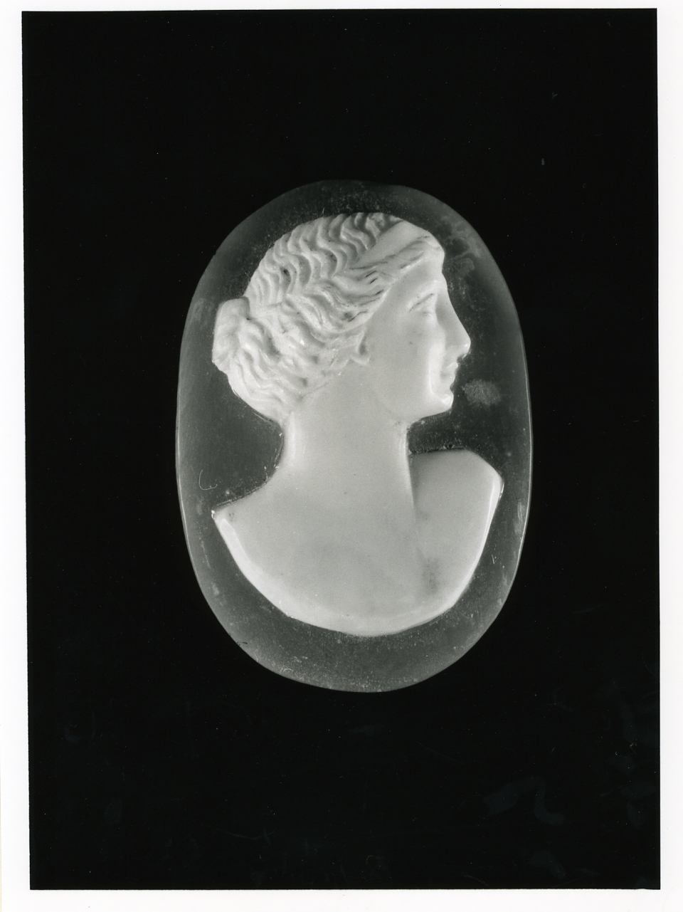 testa di donna (cammeo) - bottega napoletana (inizio sec. XX)
