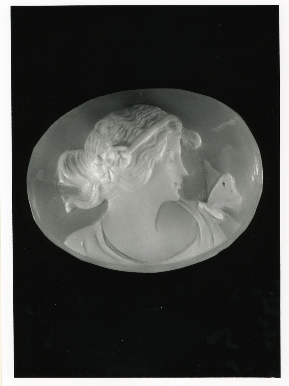 testa di donna (cammeo) - bottega napoletana (inizio sec. XX)