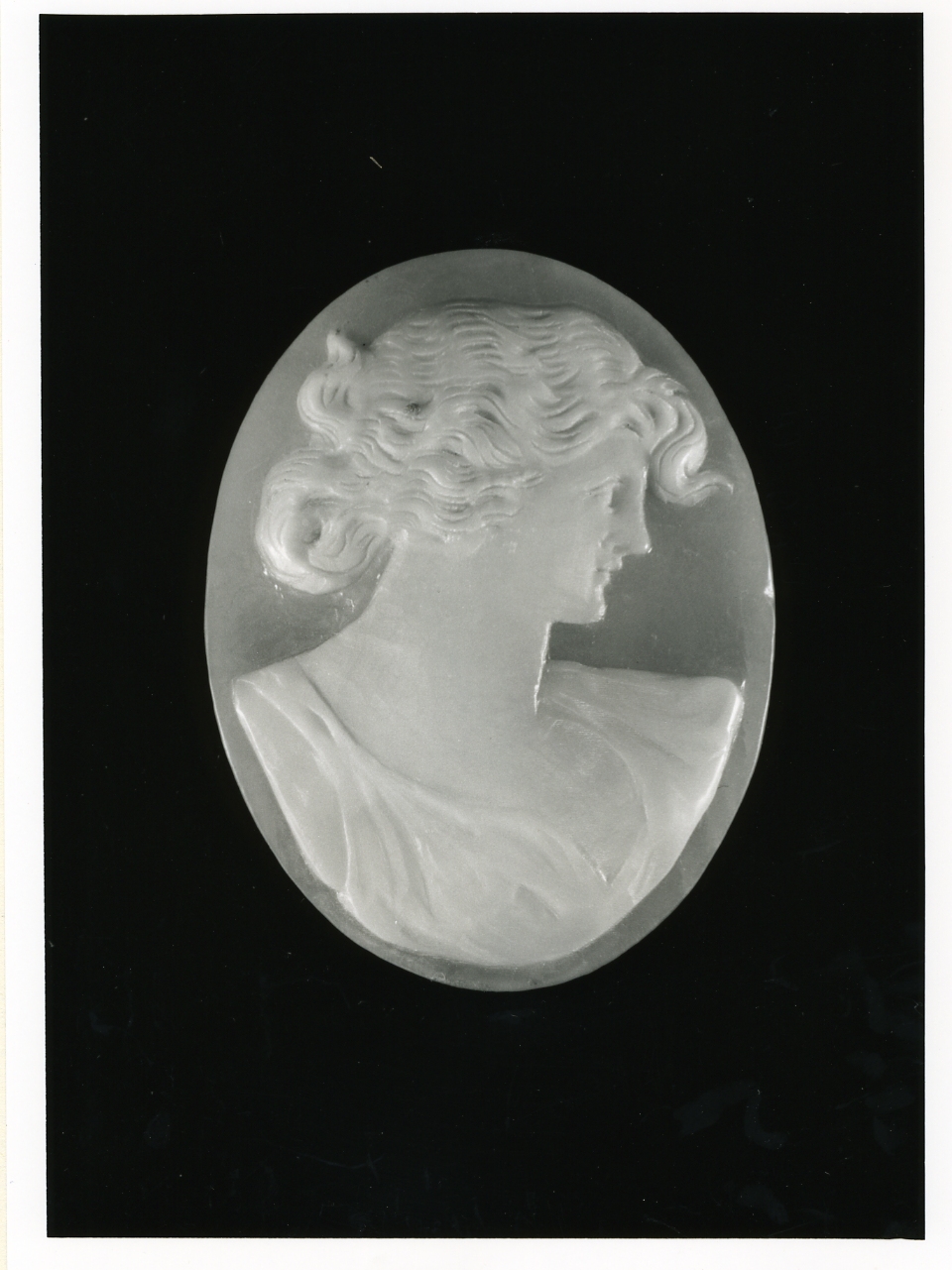 testa di donna (cammeo) - bottega napoletana (inizio sec. XX)