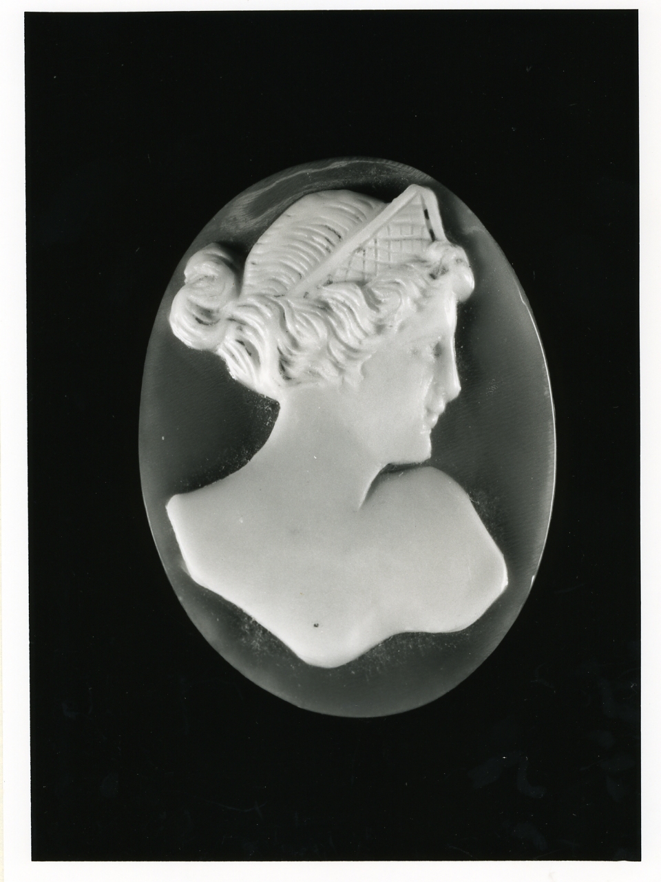 testa di donna (cammeo) - bottega napoletana (inizio sec. XX)