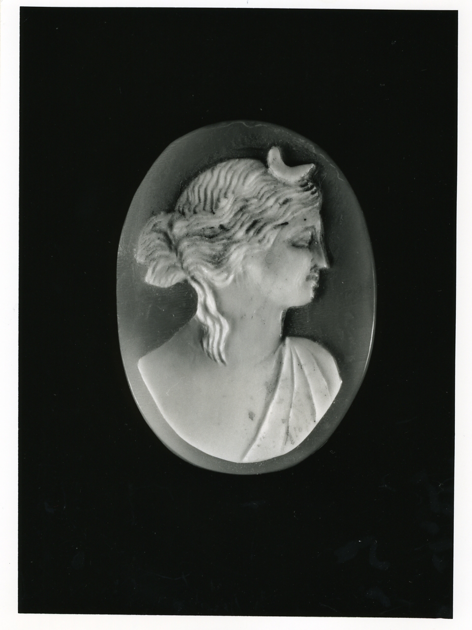 testa di donna (cammeo) - bottega napoletana (inizio sec. XX)