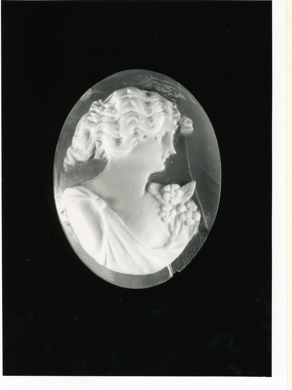 testa di donna (cammeo) - bottega napoletana (inizio sec. XX)