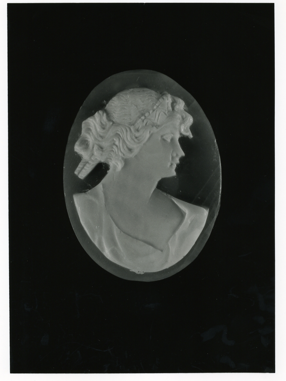 testa di donna (cammeo) - bottega napoletana (inizio sec. XX)