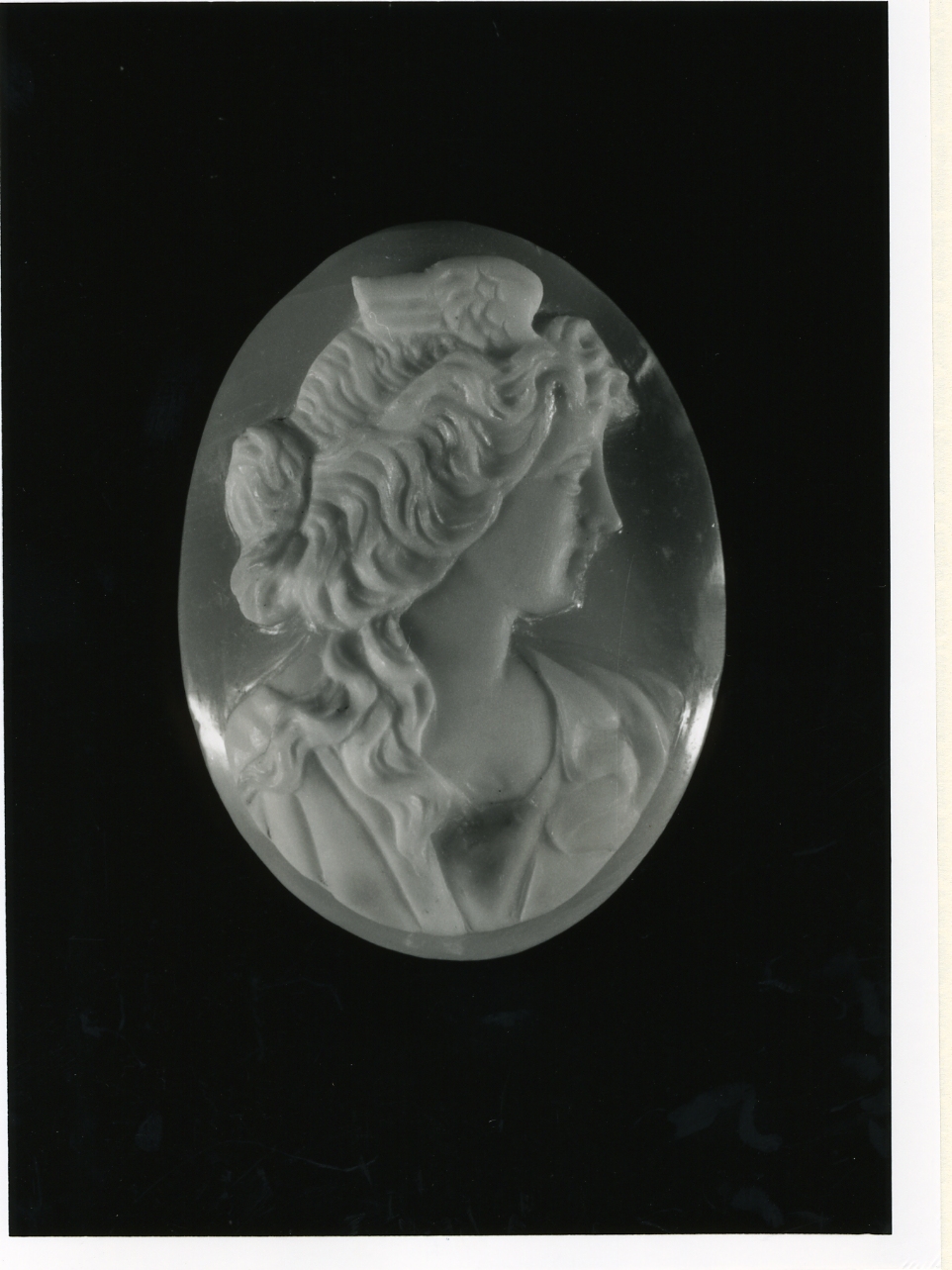 testa di donna (cammeo) - bottega napoletana (inizio sec. XX)