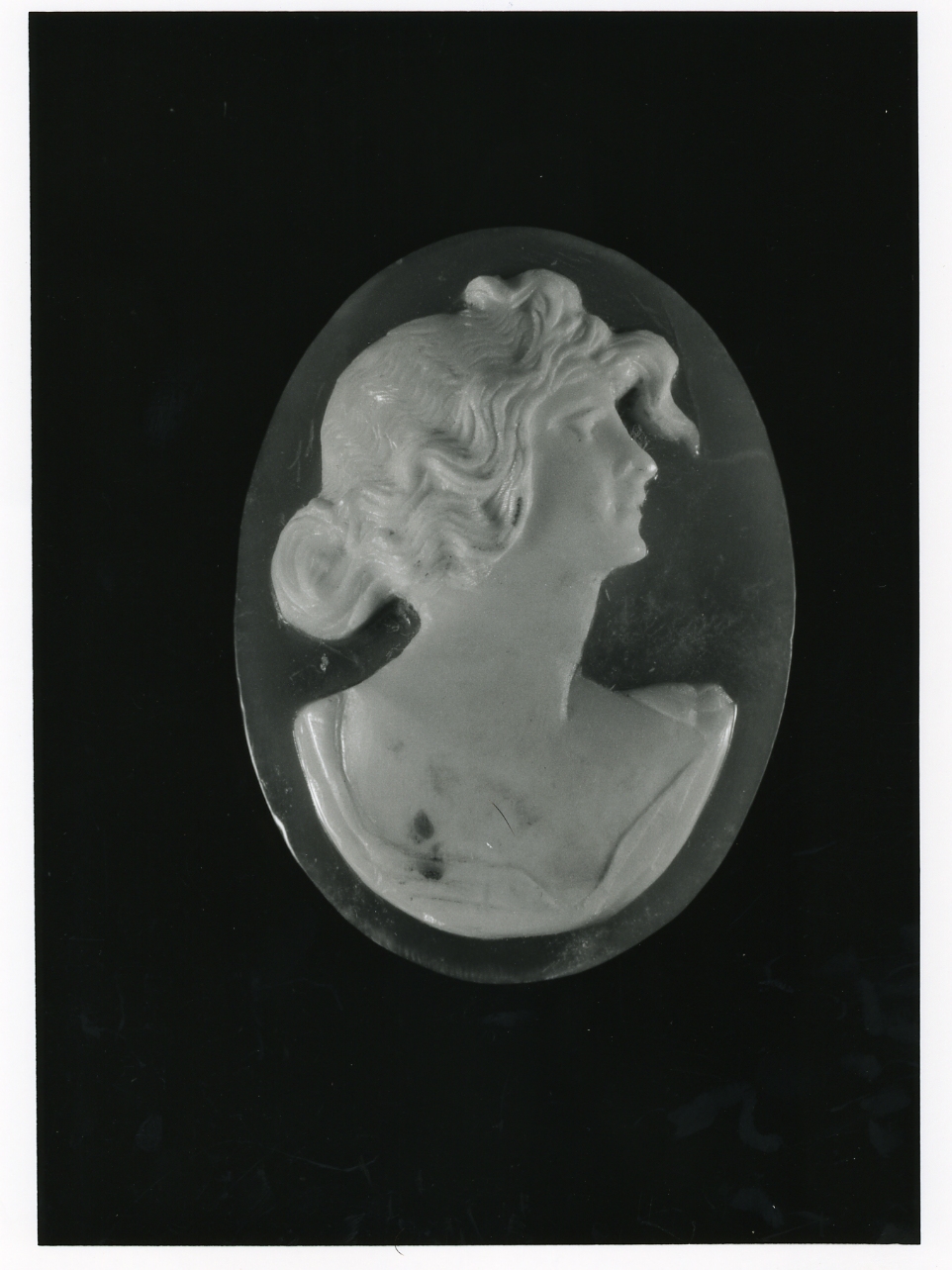 testa di donna (cammeo) - bottega napoletana (inizio sec. XX)