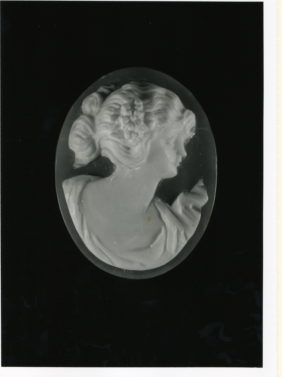 testa di donna (cammeo) - bottega napoletana (inizio sec. XX)