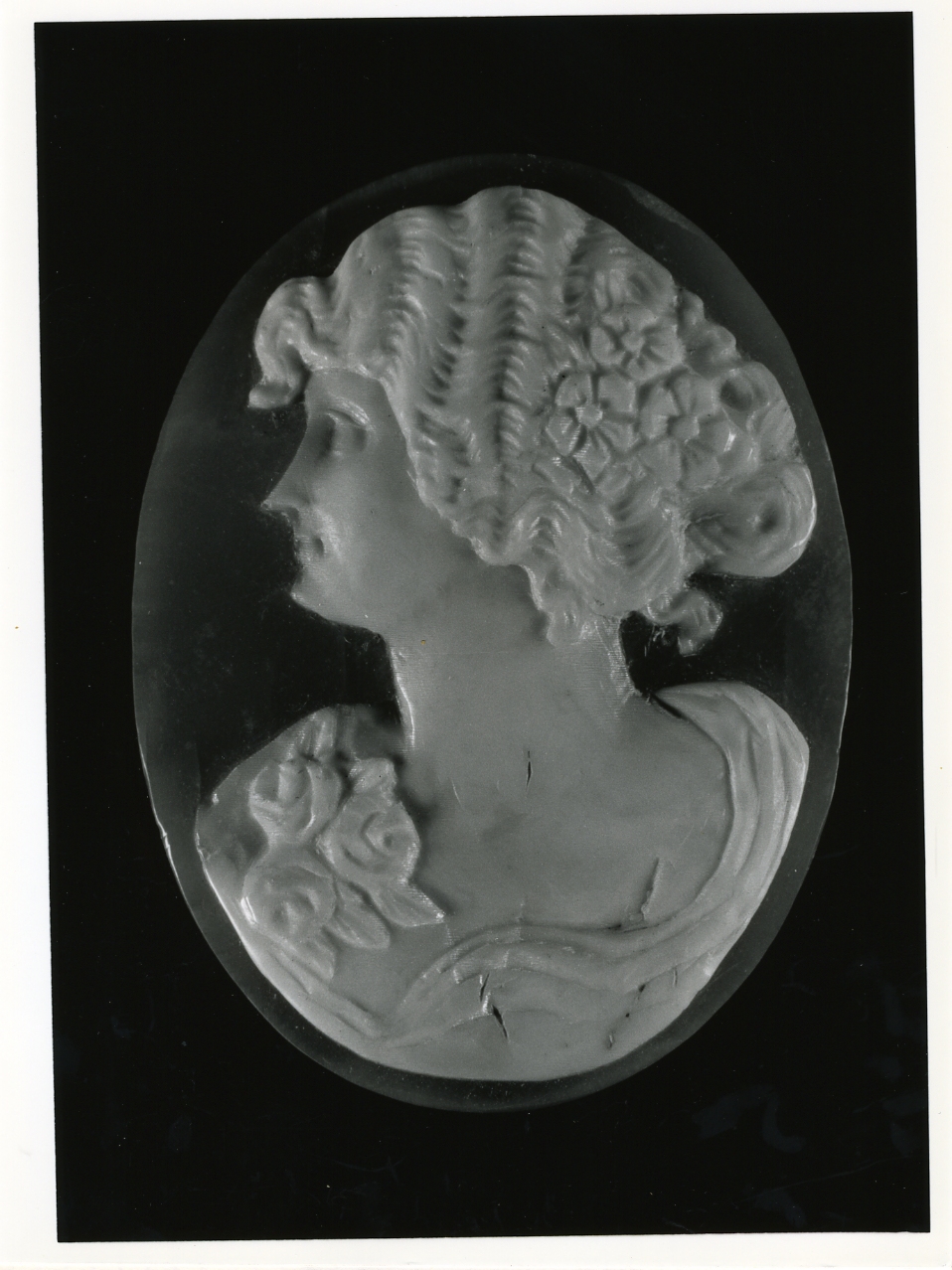 testa di donna (cammeo) - bottega napoletana (inizio sec. XX)