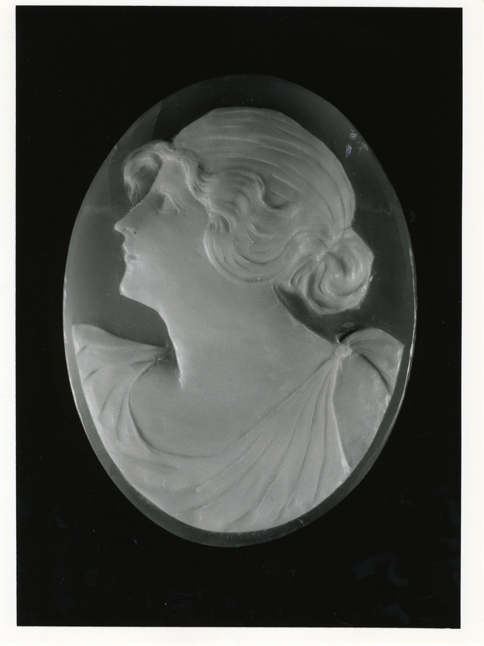 testa di donna (cammeo) - bottega napoletana (inizio sec. XX)