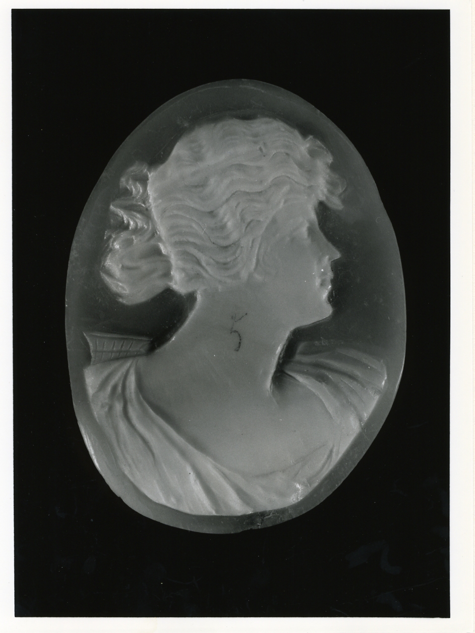 testa di donna (cammeo) - bottega napoletana (inizio sec. XX)