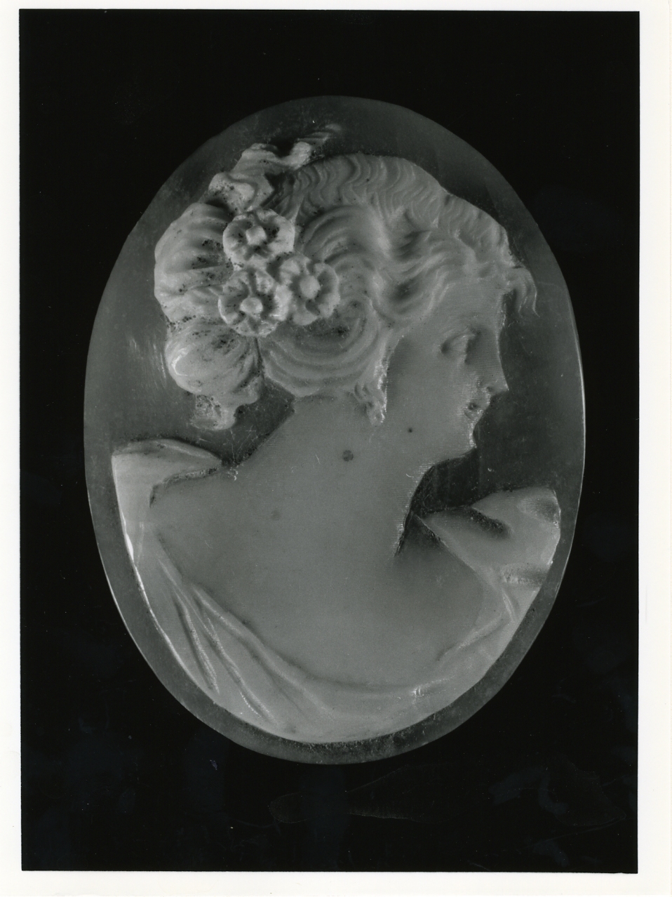 testa di donna (cammeo) - bottega napoletana (inizio sec. XX)