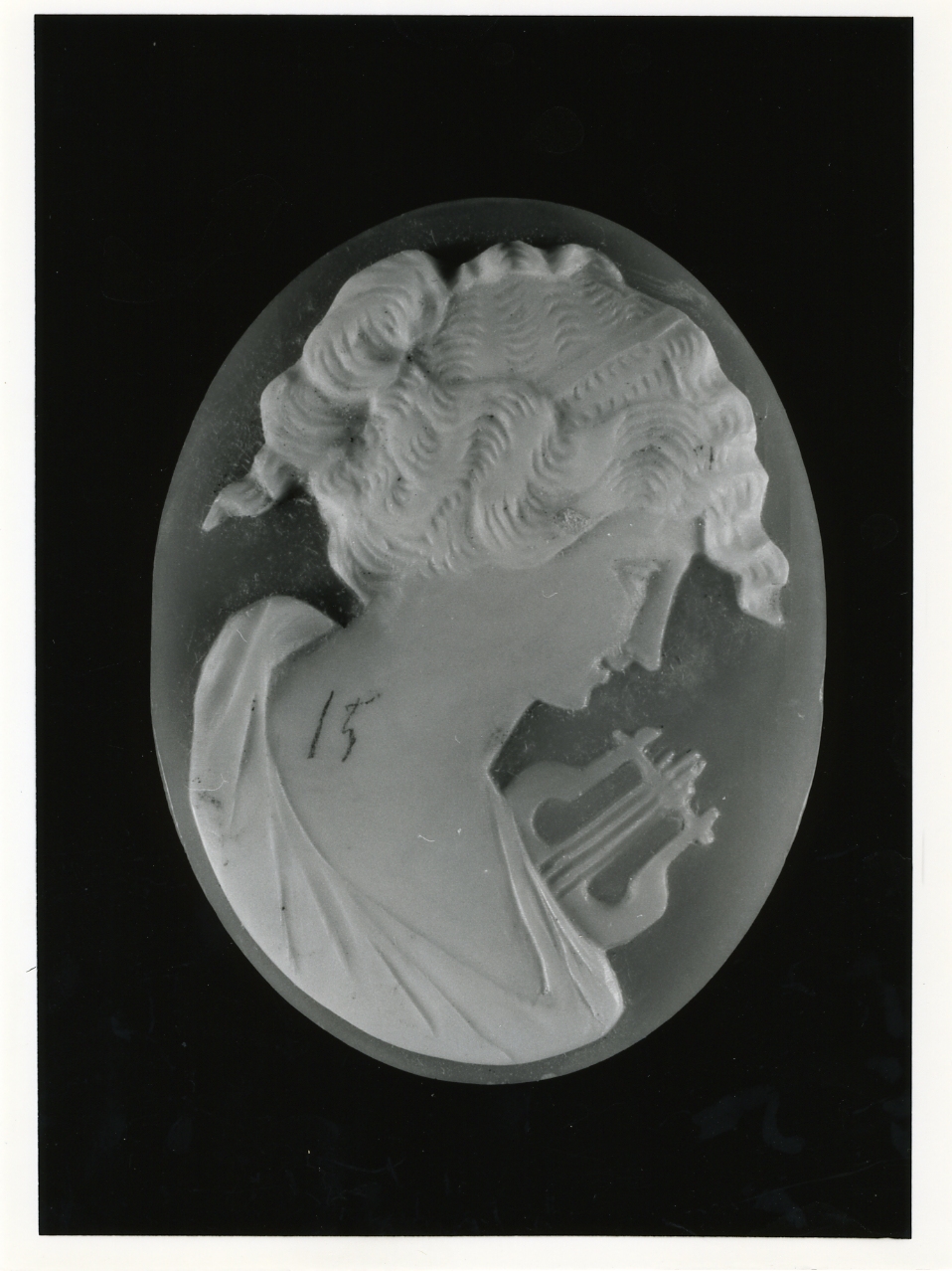 testa di donna (cammeo) - bottega napoletana (inizio sec. XX)