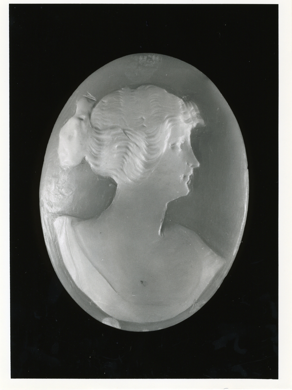 testa di donna (cammeo) - bottega napoletana (inizio sec. XX)