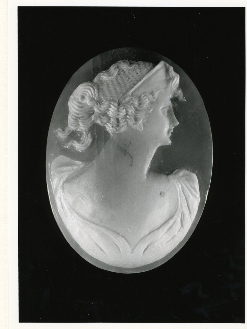 testa di donna (cammeo) - bottega napoletana (inizio sec. XX)