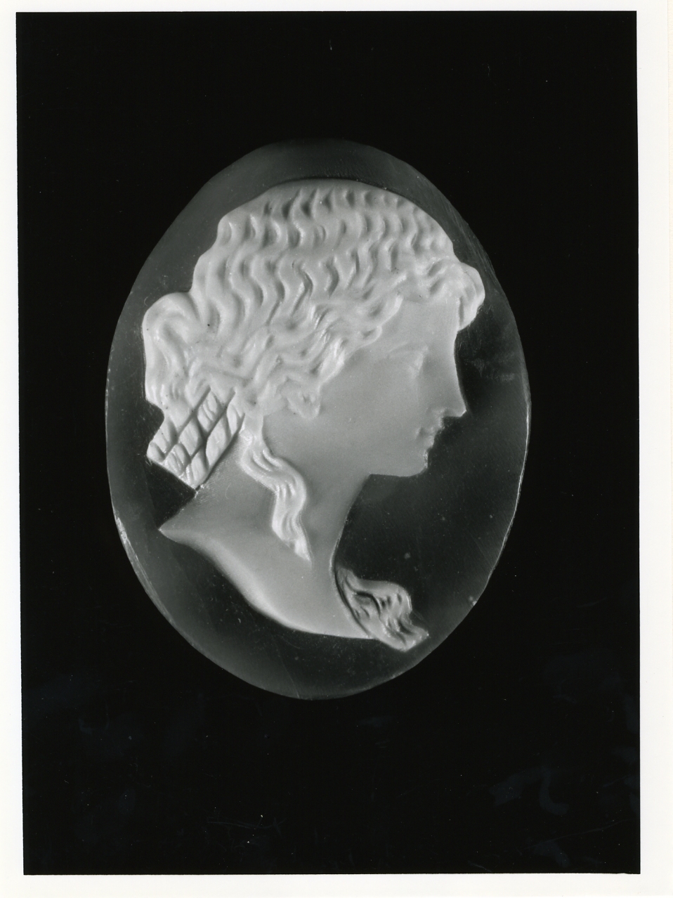 testa di donna (cammeo) - bottega napoletana (inizio sec. XX)
