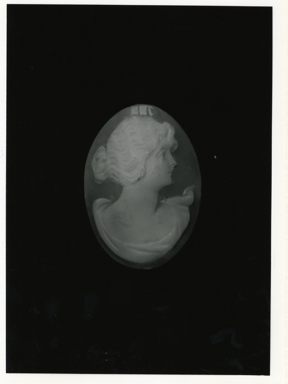 testa di donna (cammeo) - bottega napoletana (inizio sec. XX)