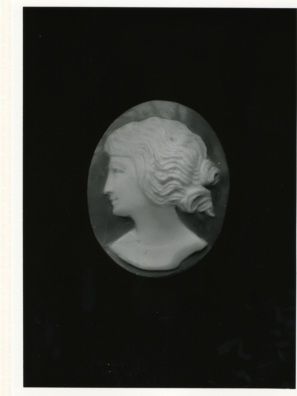 testa di donna (cammeo) - bottega napoletana (primo quarto sec. XX)