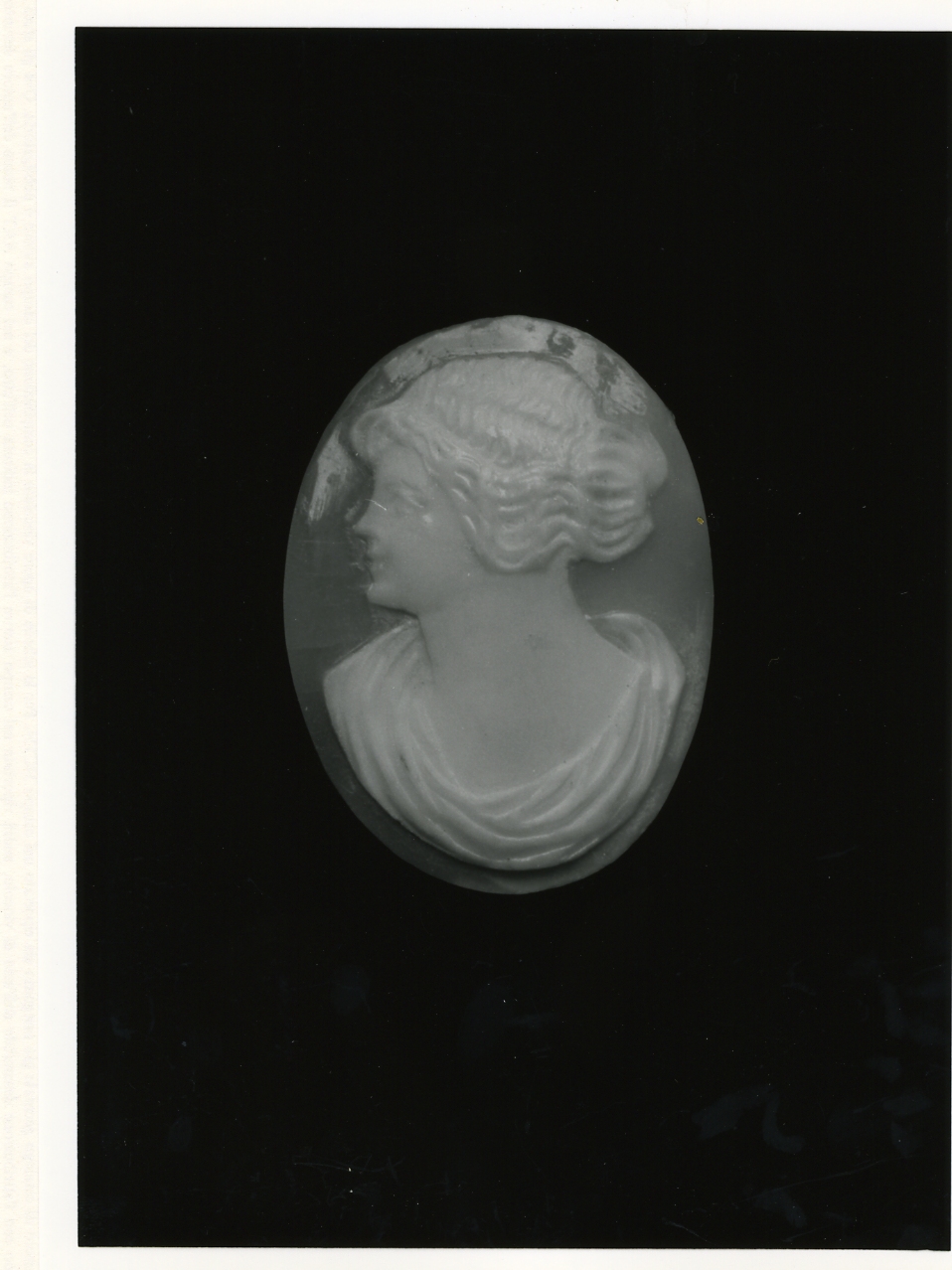 testa di donna (cammeo) - bottega napoletana (primo quarto sec. XX)
