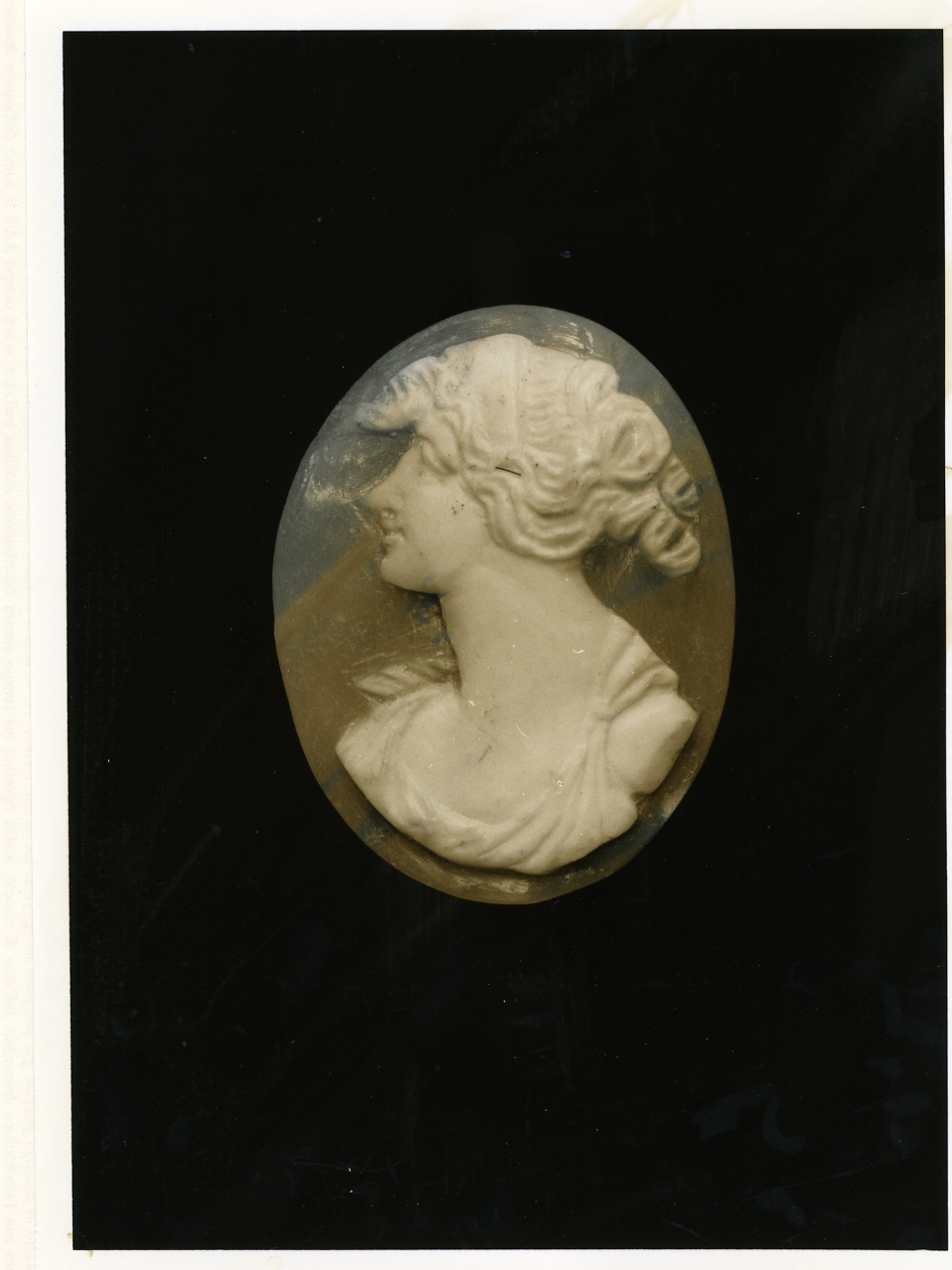testa di donna (cammeo) - bottega napoletana (primo quarto sec. XX)