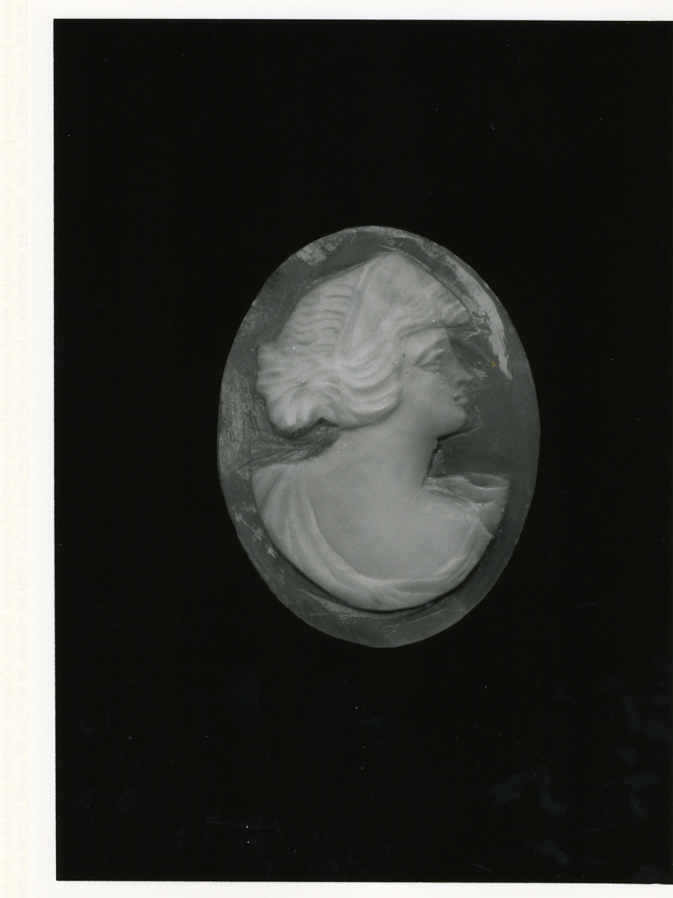 testa di donna (cammeo) - bottega napoletana (primo quarto sec. XX)
