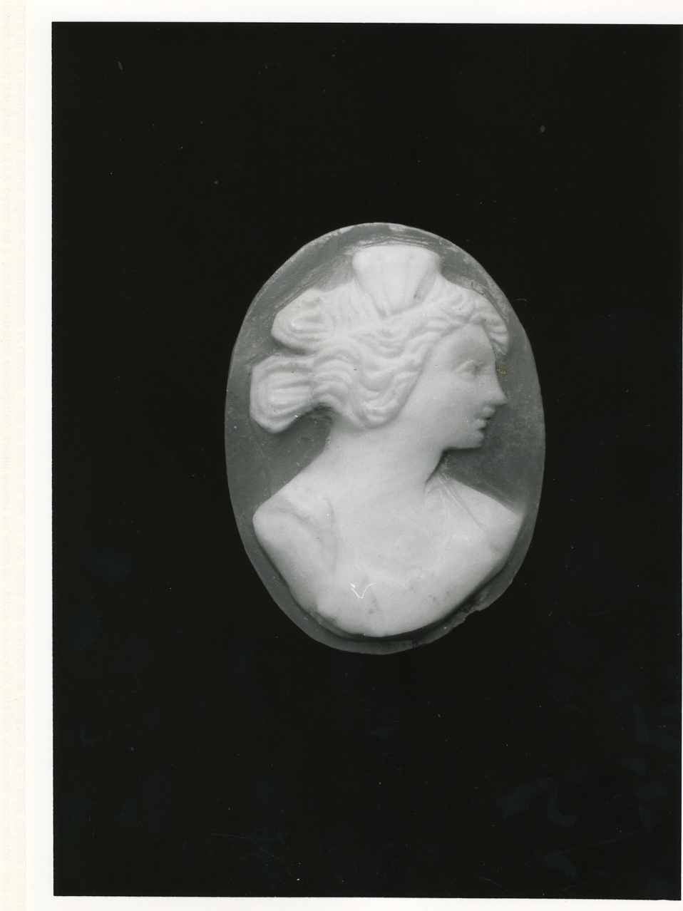 testa di donna (cammeo) - bottega napoletana (primo quarto sec. XX)