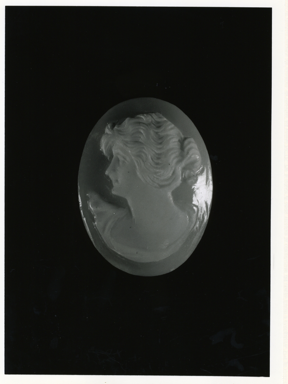 testa di donna (cammeo) - bottega napoletana (primo quarto sec. XX)