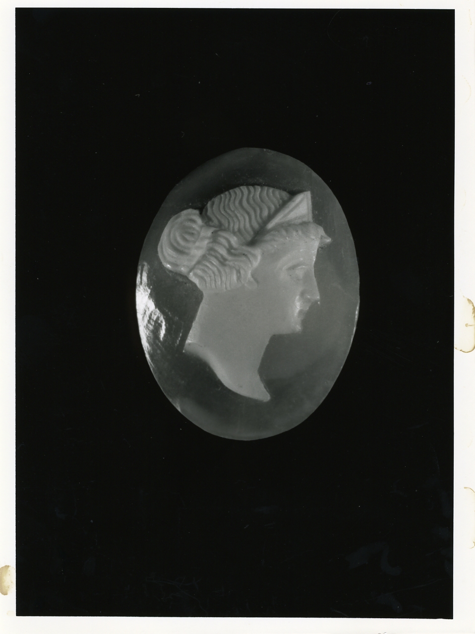 testa di donna (cammeo) - bottega napoletana (primo quarto sec. XX)