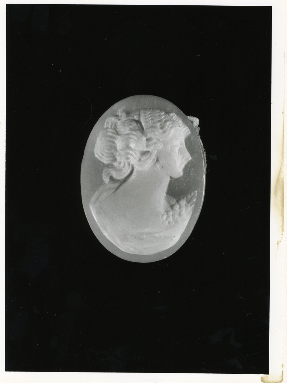 testa di donna (cammeo) - bottega napoletana (primo quarto sec. XX)