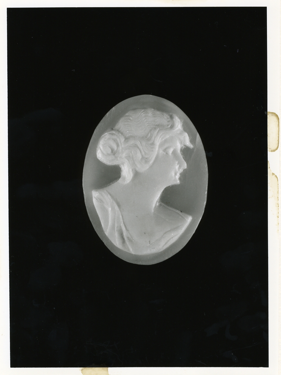 testa di donna (cammeo) - bottega napoletana (primo quarto sec. XX)