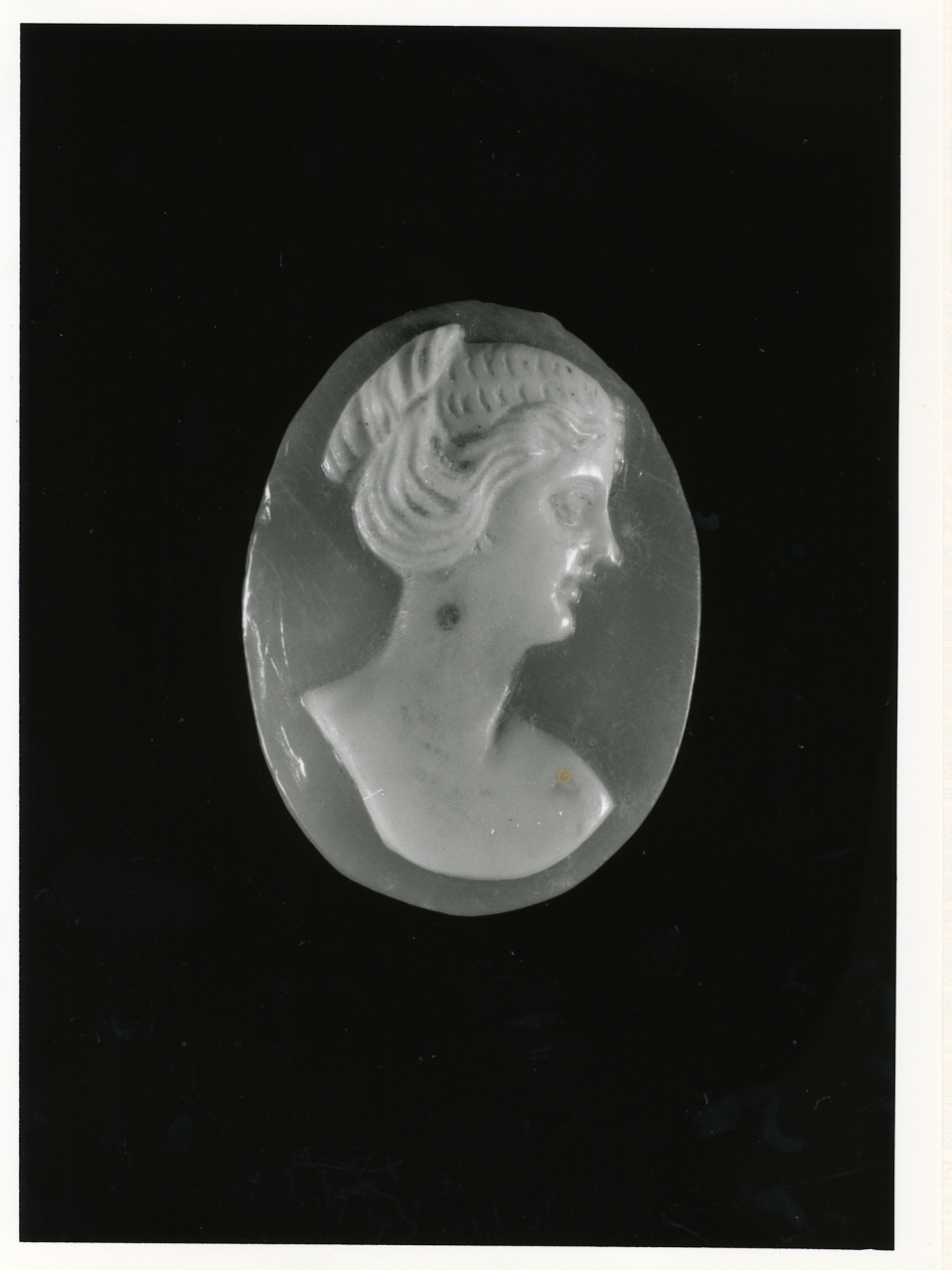 testa di donna (cammeo) - bottega napoletana (primo quarto sec. XX)
