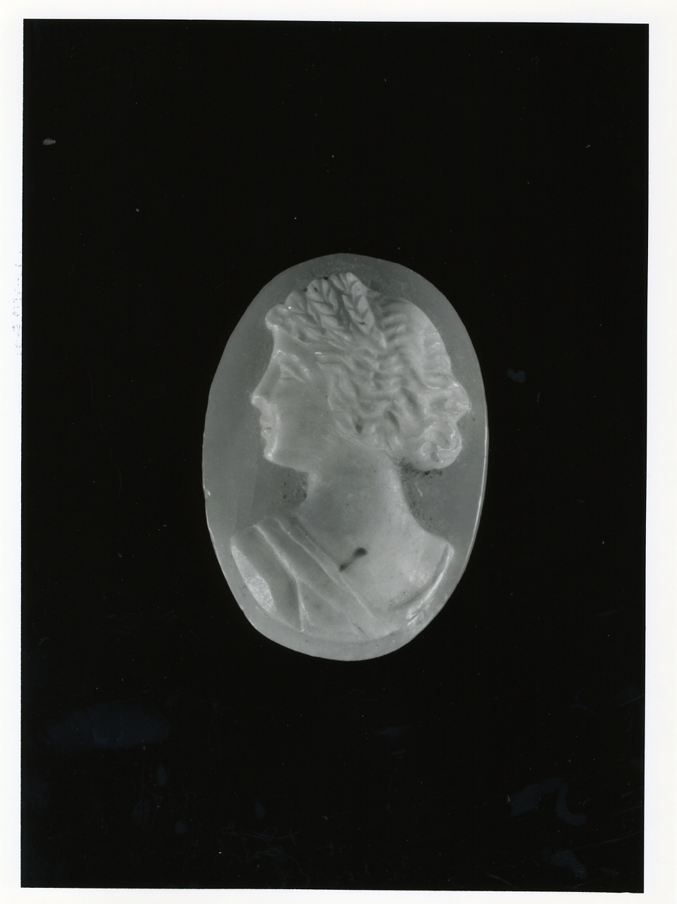 testa di donna (cammeo) - bottega napoletana (primo quarto sec. XX)