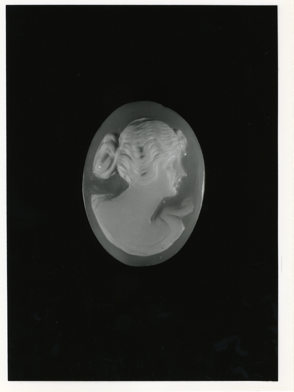 testa di donna (cammeo) - bottega napoletana (primo quarto sec. XX)