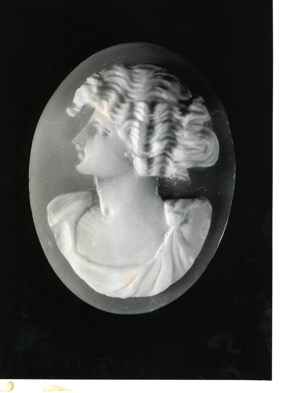 testa di donna (cammeo) - bottega napoletana (primo quarto sec. XX)