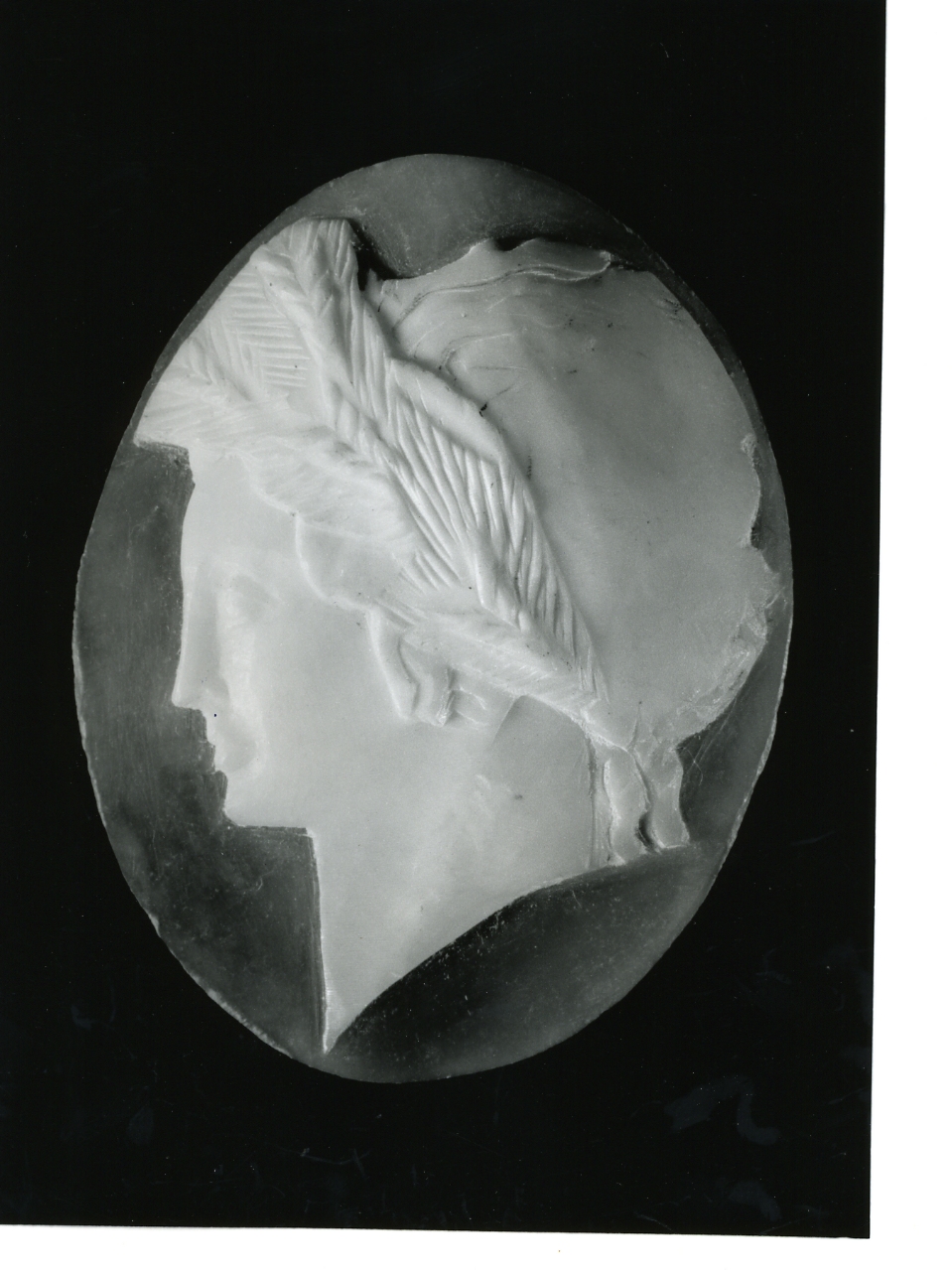 testa di donna (cammeo) - bottega napoletana (primo quarto sec. XX)