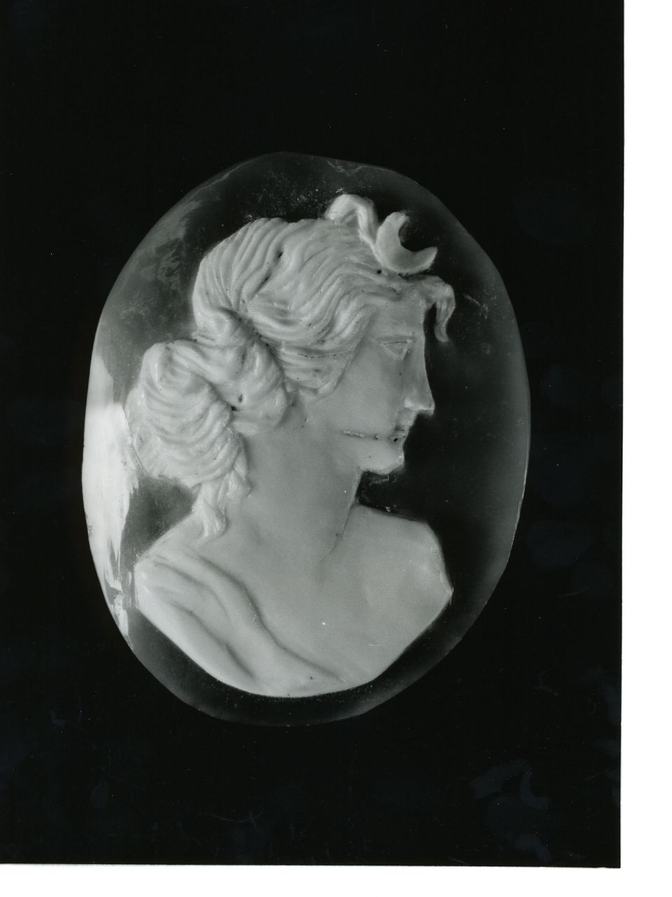 testa di donna (cammeo) - bottega napoletana (primo quarto sec. XX)