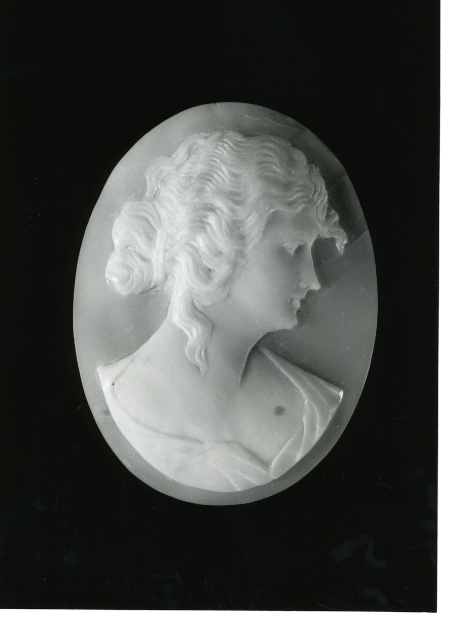 testa di donna (cammeo) - bottega napoletana (primo quarto sec. XX)
