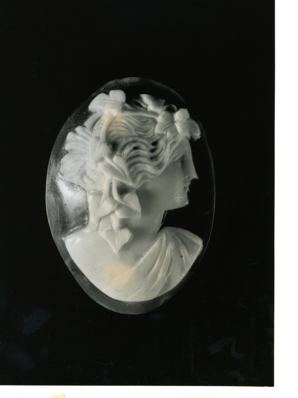 testa di donna (cammeo) - bottega napoletana (primo quarto sec. XX)